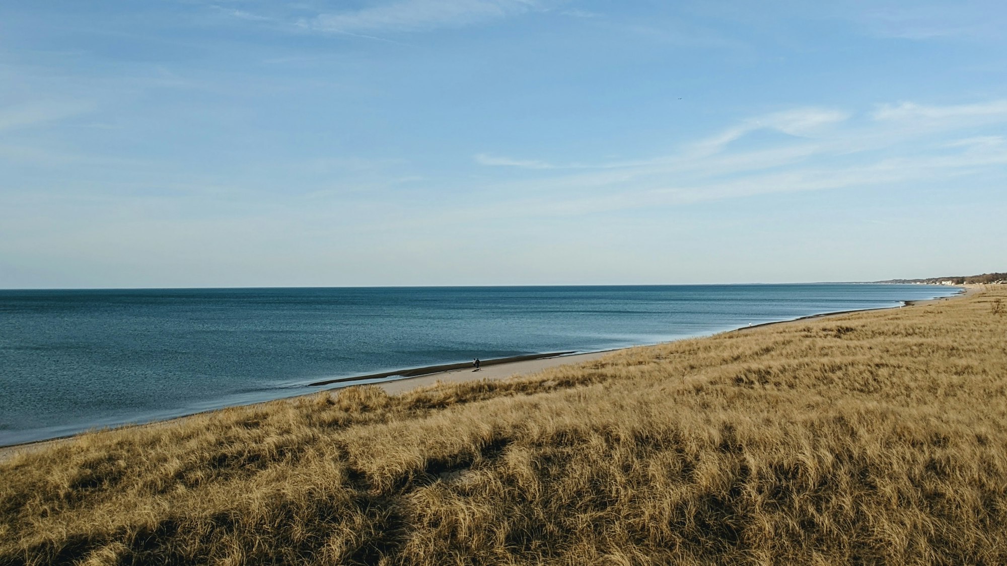 Sand dunes and beach grass along Lake Michigan at Indiana Dunes National Park
